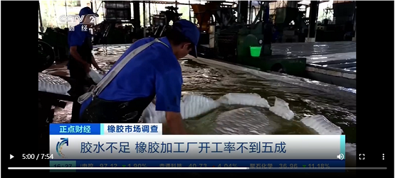 膠水不足，橡膠加工廠開工率不到五成