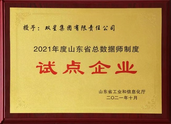 雙星輪胎進(jìn)入試點(diǎn)企業(yè)名單！