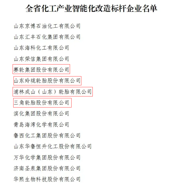 四大輪胎廠商，成為標(biāo)桿