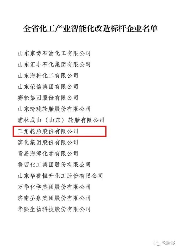 智能化標桿企業(yè)——三角輪胎 智能化標桿企業(yè)——三角輪胎