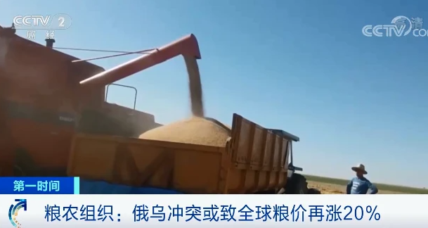原料價格進一步推高，飼料漲價潮重現(xiàn)