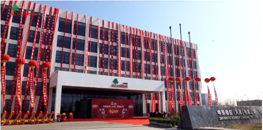 中策天津公司，開業(yè)！