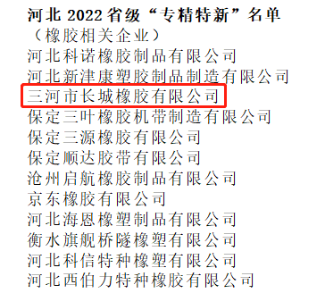 長(zhǎng)城橡膠被認(rèn)定為2022年省級(jí)專精特新中小企業(yè)