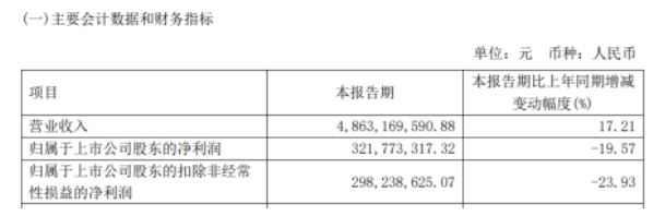 賽輪輪胎2022年第一季度財(cái)報(bào)出現(xiàn)營業(yè)收入繼續(xù)增長，凈利潤下滑