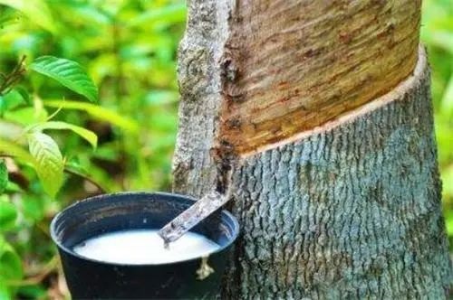 英國(guó)將橡膠制品納入對(duì)俄的制裁政策中