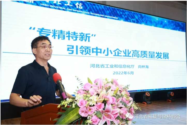 ，河北省工業(yè)和信息化廳尚林海處長(zhǎng)就“專精特新”引領(lǐng)中小企業(yè)高質(zhì)量發(fā)展進(jìn)行專題報(bào)告