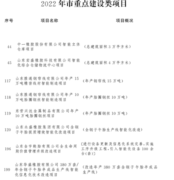 9個輪胎及行業(yè)相關(guān)項(xiàng)目