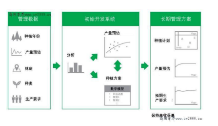 普利司通利用大數(shù)據(jù)優(yōu)化橡膠樹種植，助力橡膠園增產(chǎn)
