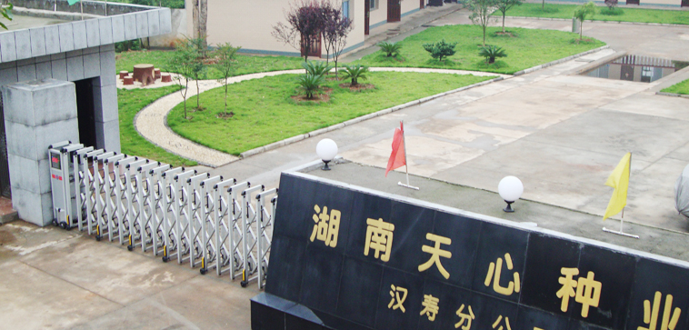 湖南天心種業(yè)股份有限公司年產24萬噸生豬飼料生產項目開工
