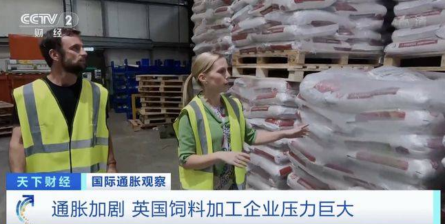 通脹加劇，英國飼料加工企業(yè)壓力巨大！雞肉價(jià)格已上漲25% 
