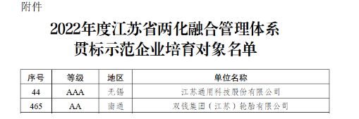 江蘇政府：重點(diǎn)培育這兩家輪胎！