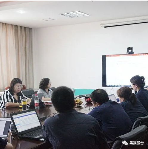 杭州德凱國(guó)際認(rèn)證有限公司對(duì)江西黑貓?zhí)亢诠煞萦邢薰具M(jìn)行了為期三天的年度監(jiān)審認(rèn)證工作