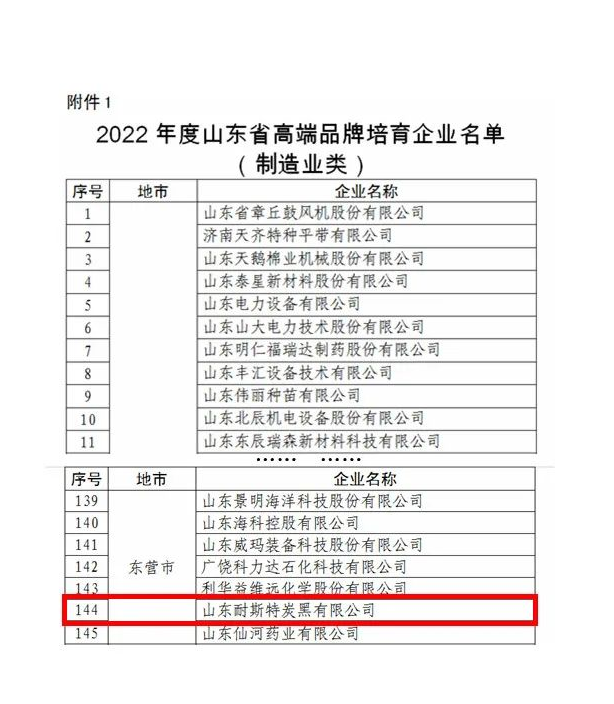 耐斯特炭黑公司將錨定“走在前、開(kāi)新局”，繼續(xù)踐行“創(chuàng)新引領(lǐng)、經(jīng)營(yíng)增效，高效管理、節(jié)能創(chuàng)效，持續(xù)發(fā)展、管理提效”的戰(zhàn)略定位，把科技創(chuàng)新擺在更加突出的位置、置于更加優(yōu)先的發(fā)展方向，大力推進(jìn)以企業(yè)為主體的技術(shù)創(chuàng)新體系建設(shè)，強(qiáng)化關(guān)鍵核心技術(shù)攻關(guān)，牢牢掌握創(chuàng)新發(fā)展主動(dòng)權(quán)，打造原始創(chuàng)新高地和強(qiáng)大引擎，持續(xù)推動(dòng)產(chǎn)學(xué)研用一體化發(fā)展，以更自覺(jué)的擔(dān)當(dāng)、更堅(jiān)決的態(tài)度、更有力的舉措持續(xù)加強(qiáng)高技能人才隊(duì)伍建設(shè)，努力為山東先進(jìn)制造業(yè)強(qiáng)省建設(shè)貢獻(xiàn)更多的萬(wàn)達(dá)耐斯特智慧和力量，以更優(yōu)異的成績(jī)迎接黨的二十大勝利召開(kāi)。