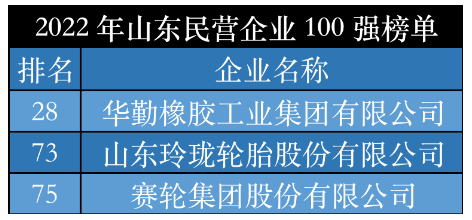 2022山東輪胎領(lǐng)軍企業(yè)，震撼發(fā)布！