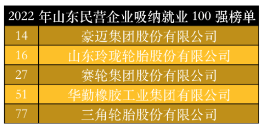 山東民營企業(yè)吸納就業(yè)100強(qiáng)榜單中，豪邁集團(tuán)、玲瓏輪胎、賽輪集團(tuán)、華勤橡膠、三角輪胎位列其中。作為勞動(dòng)力較為密集的制造業(yè)，以上5家輪胎及相關(guān)企業(yè)吸納就業(yè)數(shù)千人。