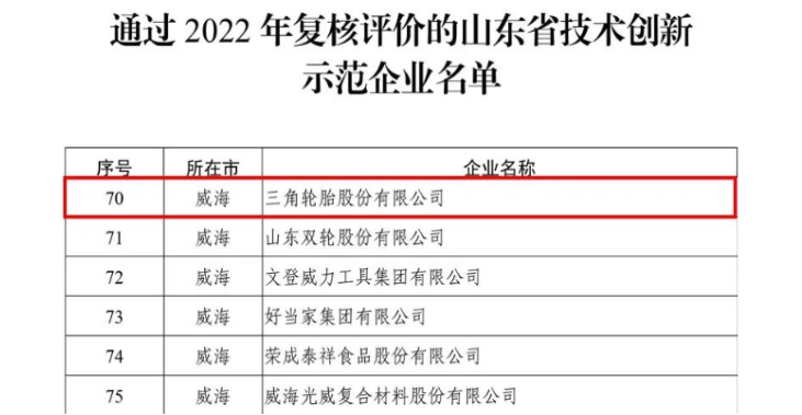 三角通過技術(shù)創(chuàng)新示范企業(yè)復(fù)評(píng)