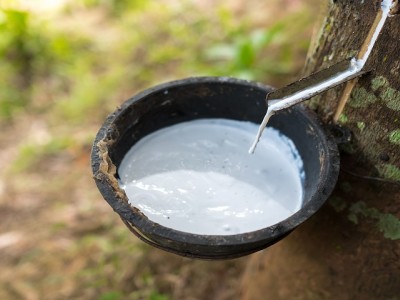 橡膠有哪些原材料？你不知道的橡膠知識