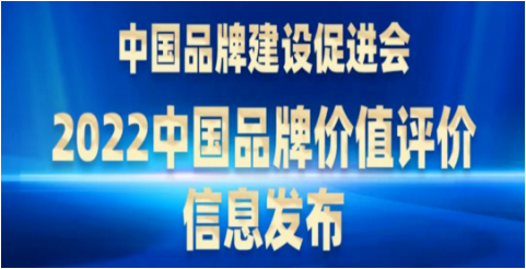 新華社：6大山東輪胎品牌價值榜！