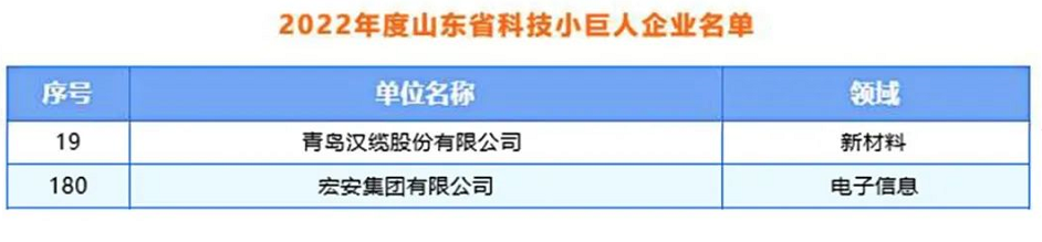 青島漢纜股份、宏安集團入選2022年度山東省科技領(lǐng)軍企業(yè)名單