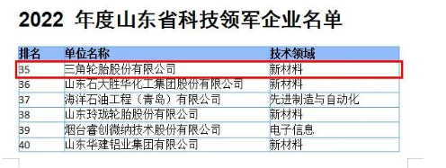 科技硬實(shí)力，三角輪胎入選山東領(lǐng)軍企業(yè)