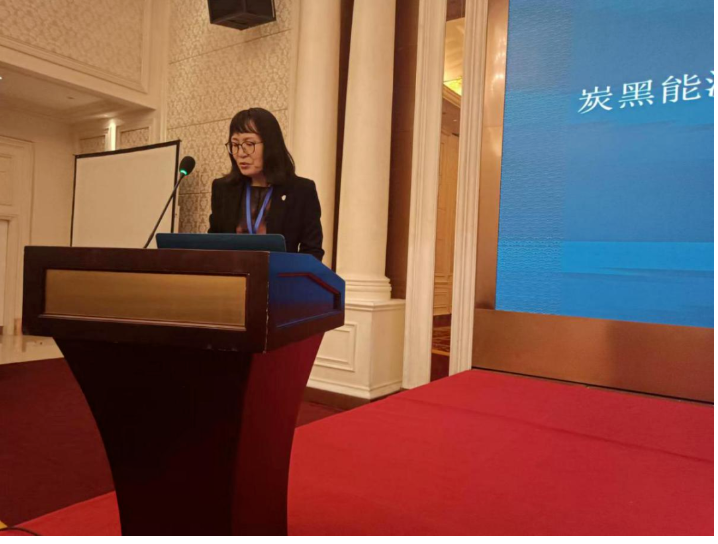 中橡協(xié)炭黑分會秘書長丁麗萍，向參會代表匯報了炭黑分會近期工作情況及2023年重點(diǎn)工作安排，包括3項團(tuán)體標(biāo)準(zhǔn)的立項和《炭黑制造技術(shù)與科學(xué)》新書編制出版等。