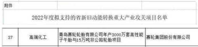 賽輪集團股份有限公司的非公路輪胎項目