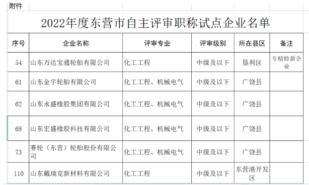 職稱自主評審，5家輪胎企業(yè)試點！