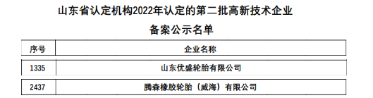 最新：六家輪胎入選高新企業(yè)！