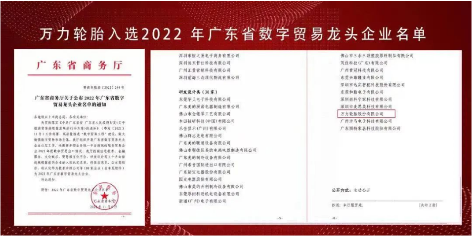萬力輪胎，入選省級龍頭企業(yè)！