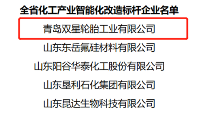 數(shù)智化創(chuàng)新發(fā)展，雙星輪胎獲評(píng)山東省化工產(chǎn)業(yè)智能化改造“標(biāo)桿企業(yè)”