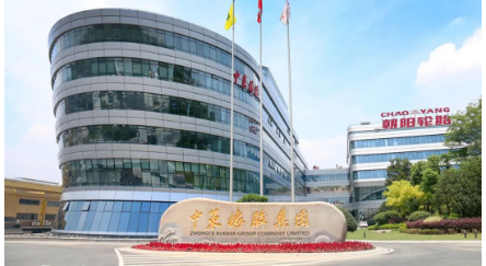 中策橡膠集團股份有限公司申報的項目