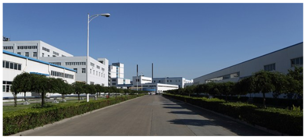 天津鵬翎集團(tuán)股份有限公司成功入選第七批單項冠軍示范企業(yè)