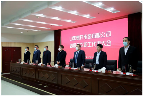大會(huì)在雄壯的國(guó)歌聲中開幕。