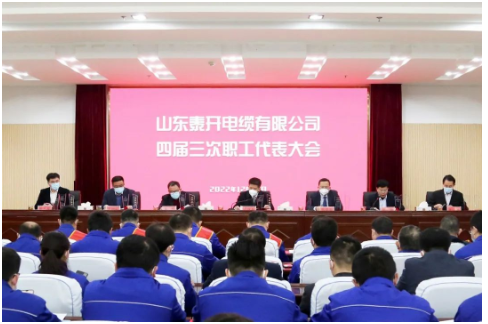 　泰開電纜董事長(zhǎng)盧俊良作重要講話。