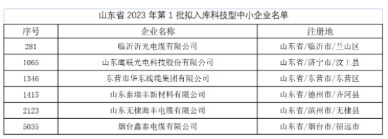 其中，東營市華東線纜集團(tuán)有限公司、臨沂沂光電纜有限公司、山東鷹聯(lián)光電科技股份有限公司、山東泰瑞豐新材料有限公司、山東無棣海豐電纜有限公司、煙臺鑫泰電纜有限公司等多家電線電纜企業(yè)進(jìn)入山東省2023年第1批擬入庫科技型中小企業(yè)名單。