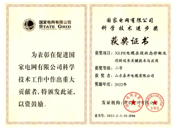 山東泰開電纜有限公司憑借其“XLPE電纜在役狀態(tài)診斷及役齡延長關(guān)鍵技術(shù)與應(yīng)用”項目，獲得了國家電網(wǎng)有限公司的“科學(xué)技術(shù)進(jìn)步獎”，這是對該公司近年來高質(zhì)量發(fā)展的充分肯定。