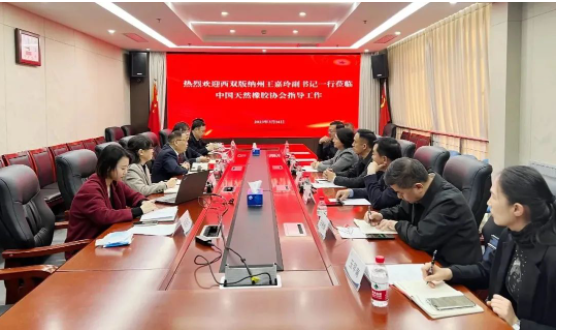 西雙版納州委副書記、州委統(tǒng)戰(zhàn)部部長王嘉玲率領相關單位領導一行赴中國天然橡膠協(xié)會進行訪談，