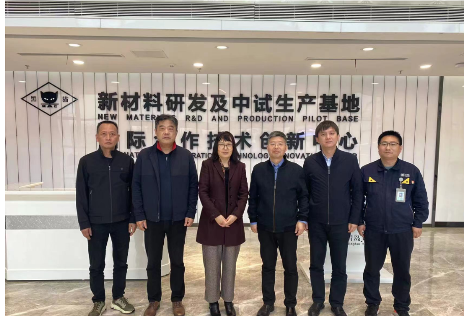 中國(guó)橡膠工業(yè)協(xié)會(huì)炭黑協(xié)會(huì)秘書(shū)長(zhǎng)丁麗萍、中昊黑元化工研究設(shè)計(jì)院王家貴院長(zhǎng)一行考察了青島黑貓研究院。黑貓股份黨委副書(shū)記、總經(jīng)理魏明陪同考察組一同參觀了中試車(chē)間、黑貓文化展廳、研發(fā)中心及產(chǎn)學(xué)研中心。