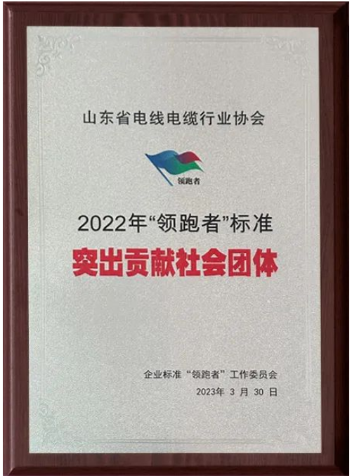 會(huì)上，山東省電線電纜行業(yè)協(xié)會(huì)獲“2022年‘領(lǐng)跑者’標(biāo)準(zhǔn)突出貢獻(xiàn)社會(huì)團(tuán)體”“2022年‘領(lǐng)跑者’榜單突出貢獻(xiàn)評(píng)估機(jī)構(gòu)”兩項(xiàng)殊榮。授牌儀式隆重舉行，這也標(biāo)志著山東省電線電纜行業(yè)協(xié)會(huì)在企業(yè)標(biāo)準(zhǔn)“領(lǐng)跑者”制度的評(píng)價(jià)工作中取得了重要成果。
