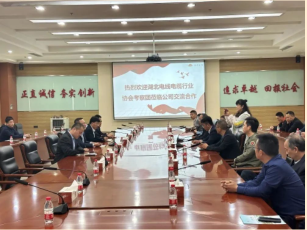 山東泰開(kāi)電纜有限公司總經(jīng)理張愛(ài)華陪同下，交流團(tuán)一行人參觀了集團(tuán)展廳，詳細(xì)了解集團(tuán)的發(fā)展歷程、經(jīng)營(yíng)理念、科研創(chuàng)新、核心零部件等情況，同時(shí)考察了集團(tuán)下屬高壓、電纜制造現(xiàn)場(chǎng)。在座談會(huì)上，雙方就技術(shù)研發(fā)、生產(chǎn)管理、質(zhì)量控制、員工獎(jiǎng)勵(lì)等方面的問(wèn)題進(jìn)行了友好互動(dòng)交流。