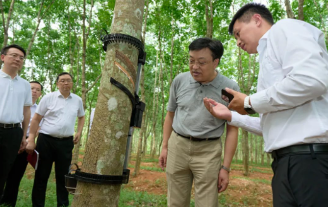 據(jù)了解，天然橡膠作為國家重要的戰(zhàn)略物資和工業(yè)原料，也是膠農(nóng)收入的重要來源。海南作為我國重要的天然橡膠生產(chǎn)和加工基地，馮飛書記指出，海南合勝橡膠科技有限公司和相關(guān)科研單位應(yīng)始終懷揣著"國之大者"的情懷，堅定發(fā)展信心，聚焦海南天然橡膠全產(chǎn)業(yè)鏈發(fā)展，致力于打破產(chǎn)業(yè)鏈發(fā)展中的阻礙，推動海南天然橡膠產(chǎn)業(yè)高質(zhì)量發(fā)展，確保國家天然橡膠供給的安全。