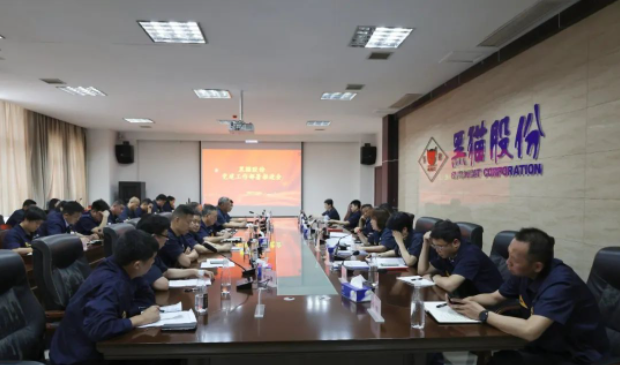 黑貓股份召開了基層黨建工作部署推進會，旨在進一步強化黨對公司及各單位發(fā)展的引領作用。黑貓股份黨委副書記、董事長、總經理魏明以及黨政領導班子成員出席了會議，會議由公司黨委專職副書記周芝凝主持。