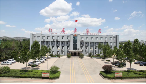這次會議為新東岳集團(tuán)公司的高級管理人員提供了一個交流和總結(jié)的平臺，以進(jìn)一步推動企業(yè)的高效運營。