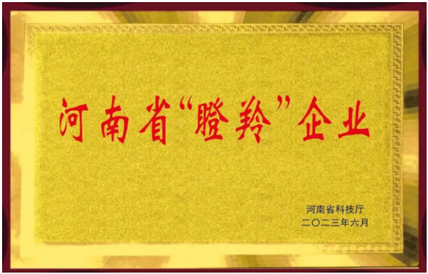 恒力橡塑股份有限公司的入選不僅證明了該公司在橡膠助劑領(lǐng)域的突出成就，同時(shí)也彰顯了河南省在科技創(chuàng)新和高新技術(shù)企業(yè)培育方面的努力。