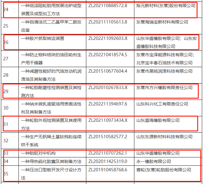 該名單的公示期為6月27日至7月4日，由東營(yíng)市高價(jià)值專(zhuān)利評(píng)審委員會(huì)辦公室組織開(kāi)展。
