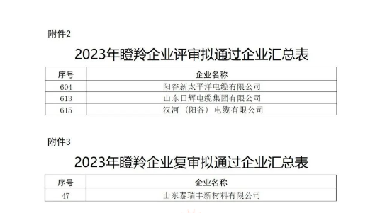 山東省工業(yè)和信息化廳在本次認定工作中嚴格按照相關(guān)文件規(guī)定的程序和標(biāo)準進行評選，充分尊重市場主體自愿申報的原則，注重專家評審和第三方信用評級的公正性與權(quán)威性，確保了認定結(jié)果的準確性和公信力。