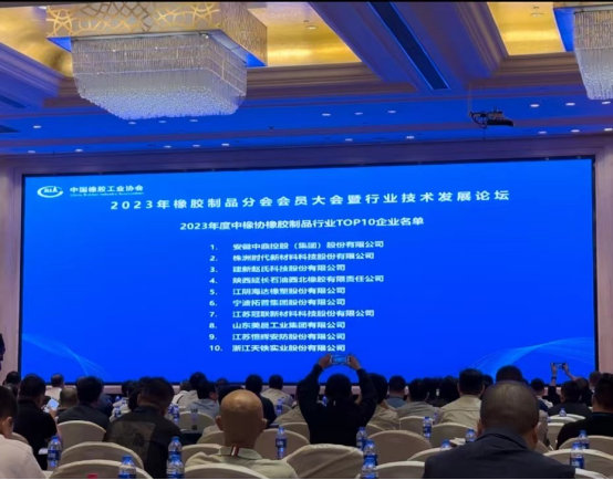 本次大會(huì)上，2023年度全國橡膠制品行業(yè)“十強(qiáng)”企業(yè)名單重磅出爐。名單顯示，安徽中鼎控股(集團(tuán))股份有限公司、株洲時(shí)代新材料科技股份有限公司、建新趙氏科技股份有限公司在2023年的綜合實(shí)力和市場(chǎng)地位上取得了顯著成就，獲得了橡膠制品行業(yè)“十強(qiáng)”企業(yè)前三名的榮譽(yù)。