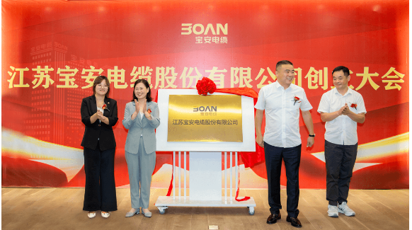 這一次股東大會(huì)的成功召開為江蘇寶安電纜股份有限公司的未來發(fā)展注入了新的活力，也為其在資本市場(chǎng)上的發(fā)展藍(lán)圖奠定了堅(jiān)實(shí)基礎(chǔ)。