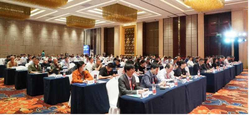 中國涂料工業(yè)協(xié)會副會長丁艷梅也向大會致以祝賀，肯定了山東省涂料行業(yè)協(xié)會多年來為會員和社會服務(wù)的不懈努力。她指出，希望新一屆領(lǐng)導(dǎo)團(tuán)隊能團(tuán)結(jié)一致，繼續(xù)推動山東省涂料行業(yè)迎來新的輝煌。接著她向大會做了《中國涂料行業(yè)發(fā)展現(xiàn)狀及趨勢分析》的主題報告。報告中，她總結(jié)了中國宏觀經(jīng)濟(jì)與涂料、顏料行業(yè)發(fā)展概況，并對全球涂料市場的現(xiàn)狀和發(fā)展趨勢進(jìn)行了展望。