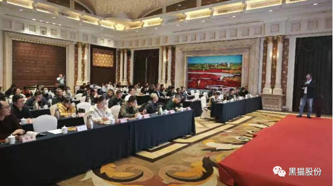 各參會嘉賓齊聚一堂，會場氣氛熱烈，會談內(nèi)容豐富。通過本次推介會，黑貓股份與參會企業(yè)之間的距離得以拉近，工作思路也得以拓寬，為公司未來的高質(zhì)量蓬勃發(fā)展奠定了堅實基礎(chǔ)。